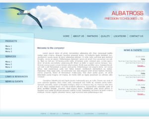Albatross Precision Technologies Ltd